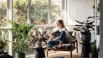 Embracing Indoor Plants and Greenery: A Journey to a Lusher, Healthier Living Space