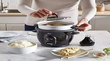 Oster Rice Cooker Review