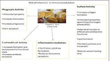 The Efficacy and Importance of Vitamin C