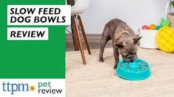 Review of Paws Aboard Pet Food Bowls