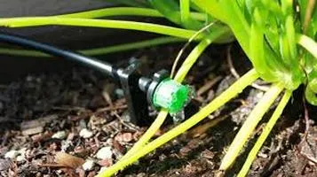 Drip Irrigation Systems: A Comprehensive Review