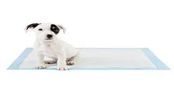 OUT! Pet Training Pads