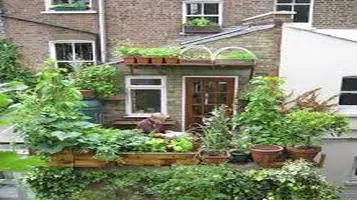 Container-Friendly Vegetable Seeds: A Gardening Revolution in Urban Spaces