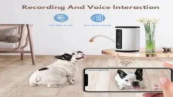 WOpet Pet Treat Dispensers