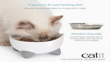 Catit Elevated Feeding Station