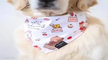 ZippyPaws Pet Clothing