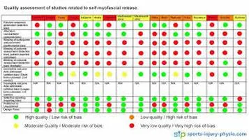 Foam Roller A Comprehensive Assessment