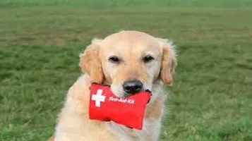 Pet First Aid Kit - Essential First Aid Kit for Pets