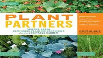 Companion Planting Strategies: A Holistic Approach to Gardening Success